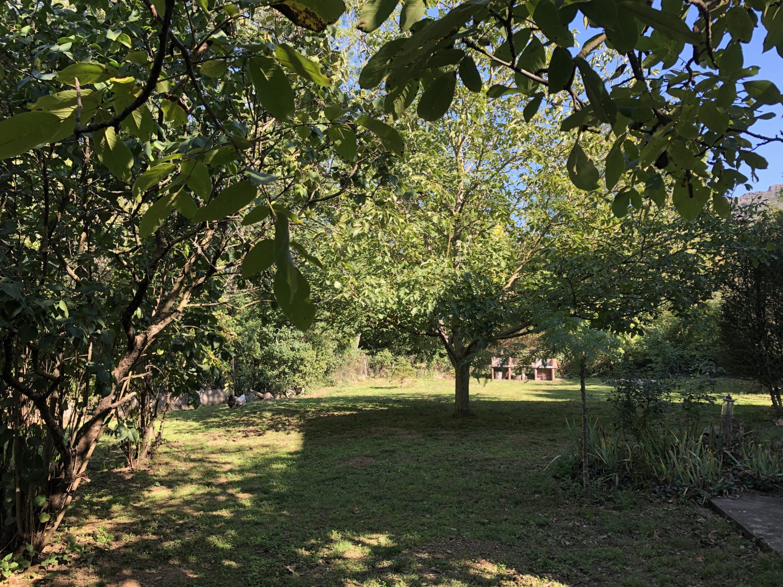 Nébuzon_Jardin_BBQ_Descriptif