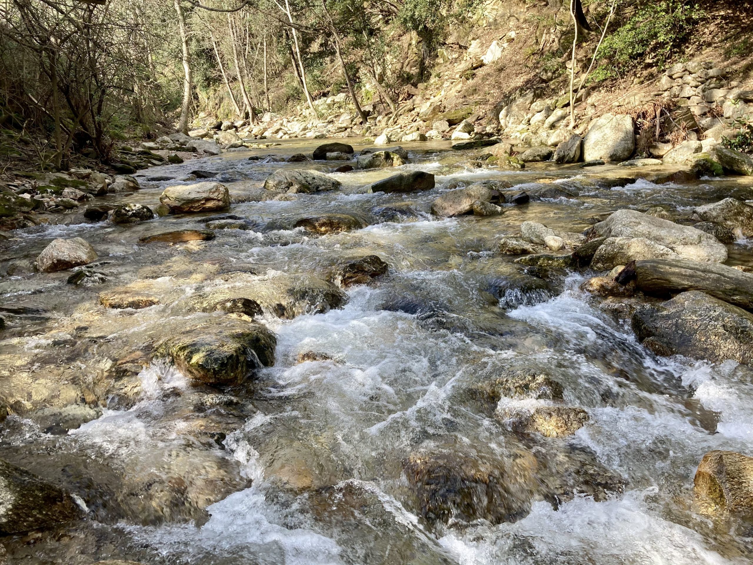 Nébuzon_Riviere_Descriptif