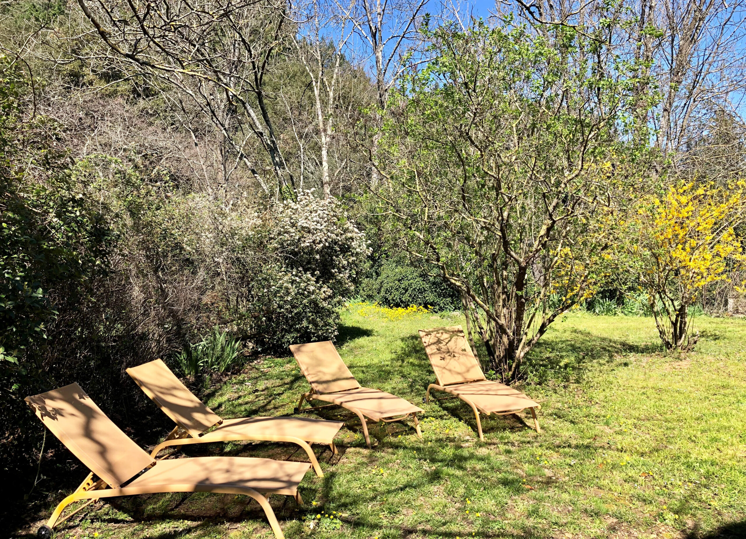 Jardin_LeNebuzon_2023