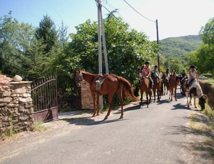 LeNébuzon_Chevaux_Activité LeNébuzon_Chevaux_Activité