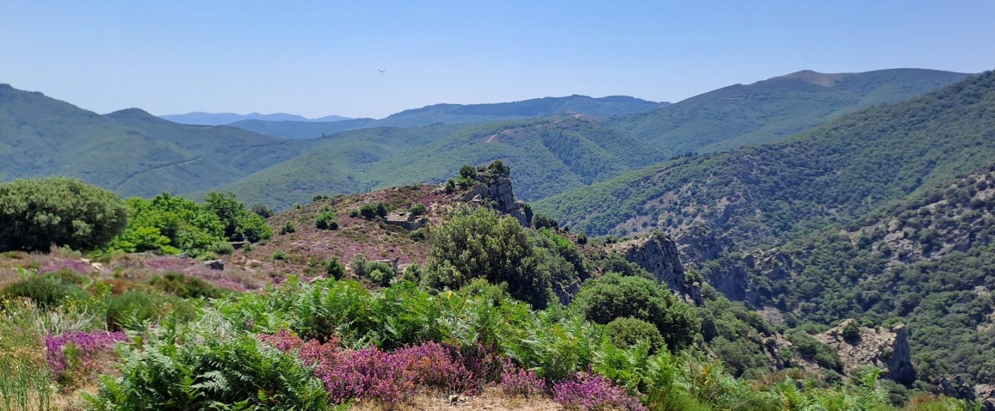 Sentier_Les_Bannissous_2 Sentier_Les_Bannissous_2